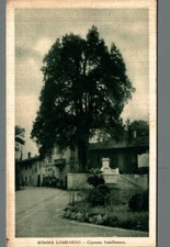 Varese somma lombardo usato  Asti