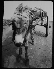Braying power sad for sale  HAYLE