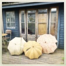Antique sun umbrellas for sale  PENARTH