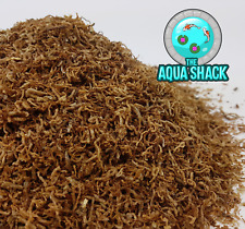 bloodworm for sale bloodworm for sale NORTH WALSHAM