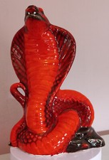 venomous snakes for sale venomous snakes for sale STOKE-ON-TRENT