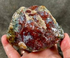 Red lightning moss for sale  Fountain Valley