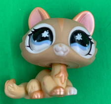 lps cat for sale  Little River