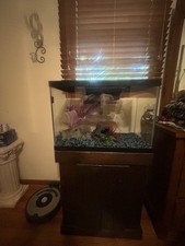 Glass aquarium fish for sale  Mableton