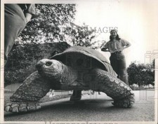 1981 press photo for sale  Memphis