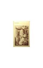 practical cookery for sale  UK