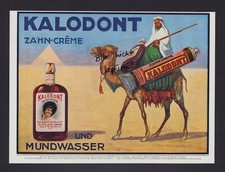 Wien werbung 1914 gebraucht kaufen  Delitzsch