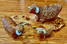 highland bull for sale highland bull for sale HYDE
