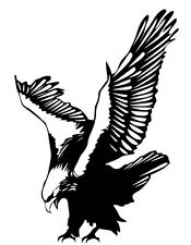 Aquila stickers adesivo usato  Firenze