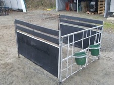 Double width calf for sale  HEREFORD