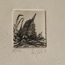 Etching bird nest for sale  HAVERHILL