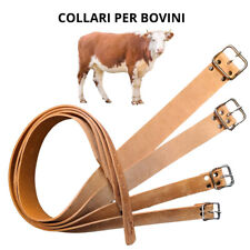 Collana collare collari usato  Lanusei