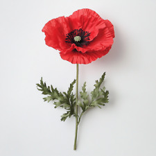 250 graines coquelicot d'occasion  Clermont-Ferrand-