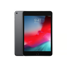 Ipad mini apple usato  Palma Campania