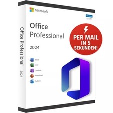 Ffice 2024 professional gebraucht kaufen  Seevetal