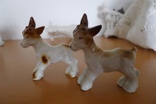 Junge ziegen gebraucht kaufen Junge ziegen gebraucht kaufen  Sandersdorf