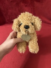 Cute light brown for sale  WHITSTABLE