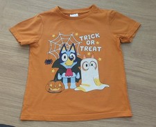 Boys bluey halloween for sale  SHEFFIELD