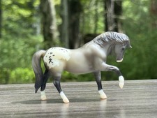 quarter horse grullo d'occasion quarter horse grullo d'occasion Expédié en Belgium