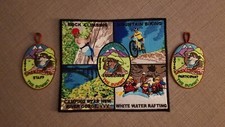 2012 shakedown patch for sale  Vass