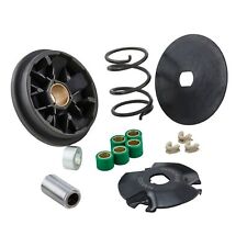 Variatore pinasco overdrive usato  Cerignola