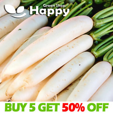 Daikon radish astor for sale  DONCASTER