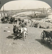 Keystone stereoview levee for sale  Norwalk