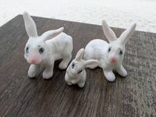 Miniature easter bunny for sale  South Bend