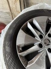 Gomme cerchi skoda usato  Sedico
