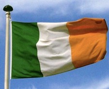 Irish flag blowout for sale  West Bend