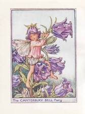 Flower fairies canterbury for sale  MOLD