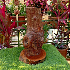 Tronco de árvore vintage real com base lacuna de nó de madeira feito à mão decoração de jardim 50 cm comprar usado  Enviando para Brazil