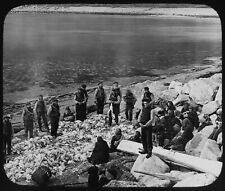 Photo kilda dividing for sale  HAYLE