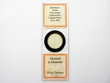 Vintage microscope slide. for sale  LEDBURY