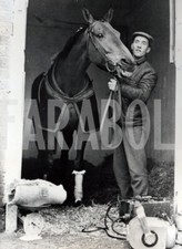 Vintage animali regno usato  Roma