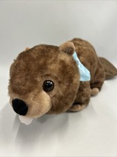 stuffed beaver for sale stuffed beaver for sale Nashville