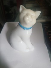 Avon occur cat for sale  BIRMINGHAM
