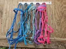 Biothane halter bridle for sale  Royersford