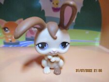Petshop lapin garenne d'occasion  Saint-Omer