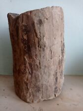 Legno fossile triassico usato  Borgosesia