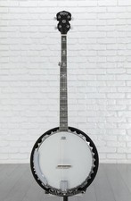 Washburn americana b10 for sale  Fort Wayne