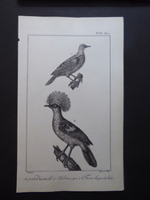 Paul louis oudart for sale  CANTERBURY