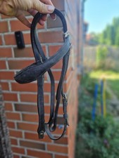 Trensenzaum cob gebraucht kaufen  Zarrentin