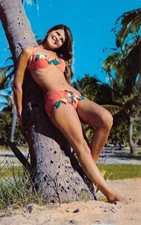 Bathing beauty bikini for sale  Palm Bay