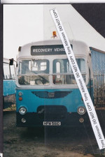 Blue bird bristol for sale  CHELMSFORD
