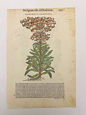 Mattioli xilografia 1500 usato  Treviso