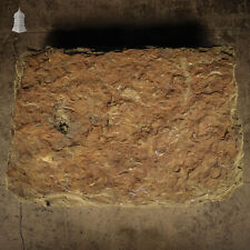 Garden stone slab for sale  NORWICH