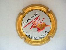 Capsule hotte thiérry d'occasion  Yutz