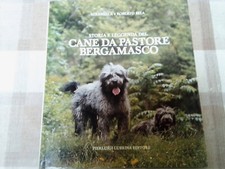 Storia leggenda del usato  Dorio