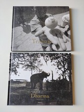 Blocco libri damiani usato  Ascoli Piceno